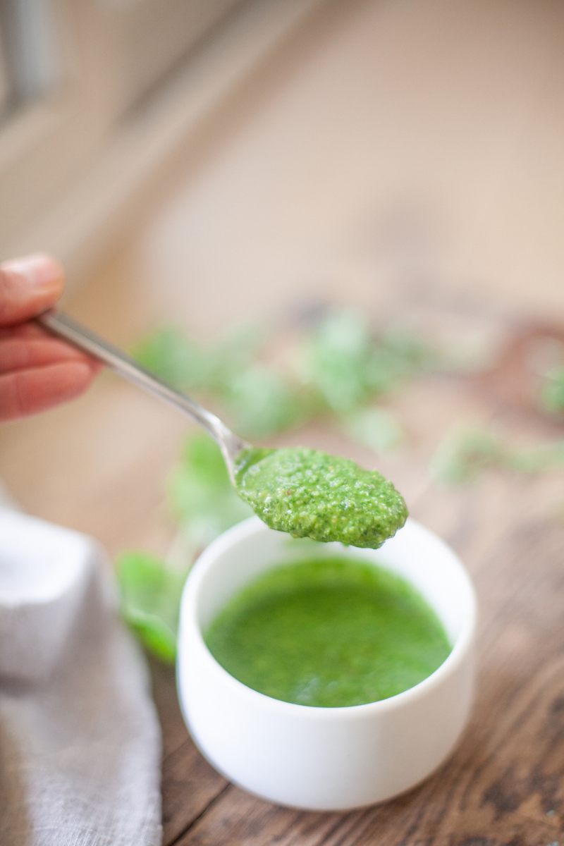 DairyFree Basil Pesto Lillie Eats and Tells