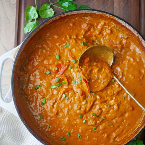Coconut curry in pan with ladle scooping it up.