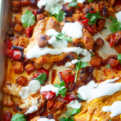 Close-up of turmeric and paprika spiced chicken thighs on roasted vegetables with a Greek yogurt drizzle and fresh cilantro